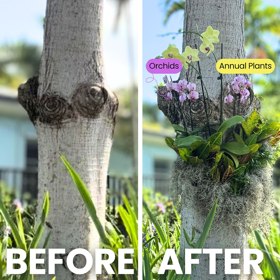 Thumbnail: 20 Orchidhug (Universal Size) Tree Hanger Ring