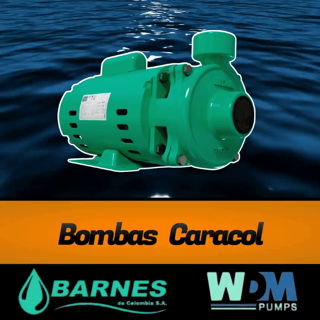 Black and Gold Talent Show Square Video (2) (1).gif