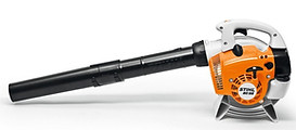BG 56 F2.jpg