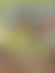 Arkitekten: Arkitekt på SIHS