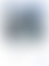 CONNOISSEUR 2004 Lyxhus på Lidingö