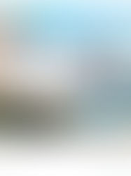 CONNOISSEUR International Contemporary Architecture