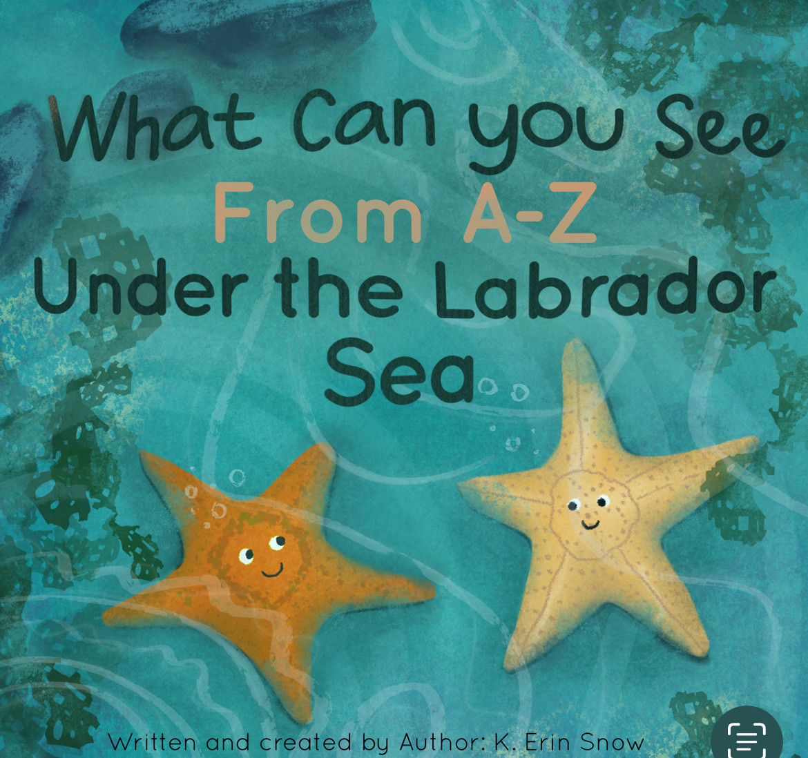What Can You See, From A-Z Under The Labrador Sea?