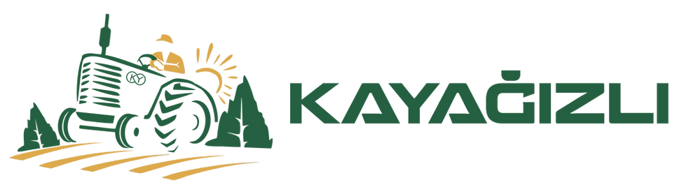 kayagizli_yazi_tam_saginda_buyuk.png