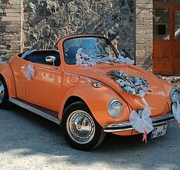 İzmir!de Sünnet Arabası