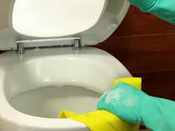 wc.jpeg