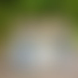 The Best Maid of Honor Hairstyles for Any Hair Length