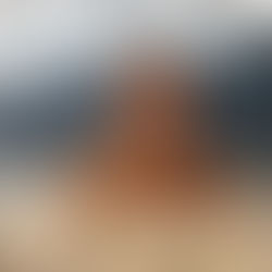 Bridal Makeup Using Color Analysis