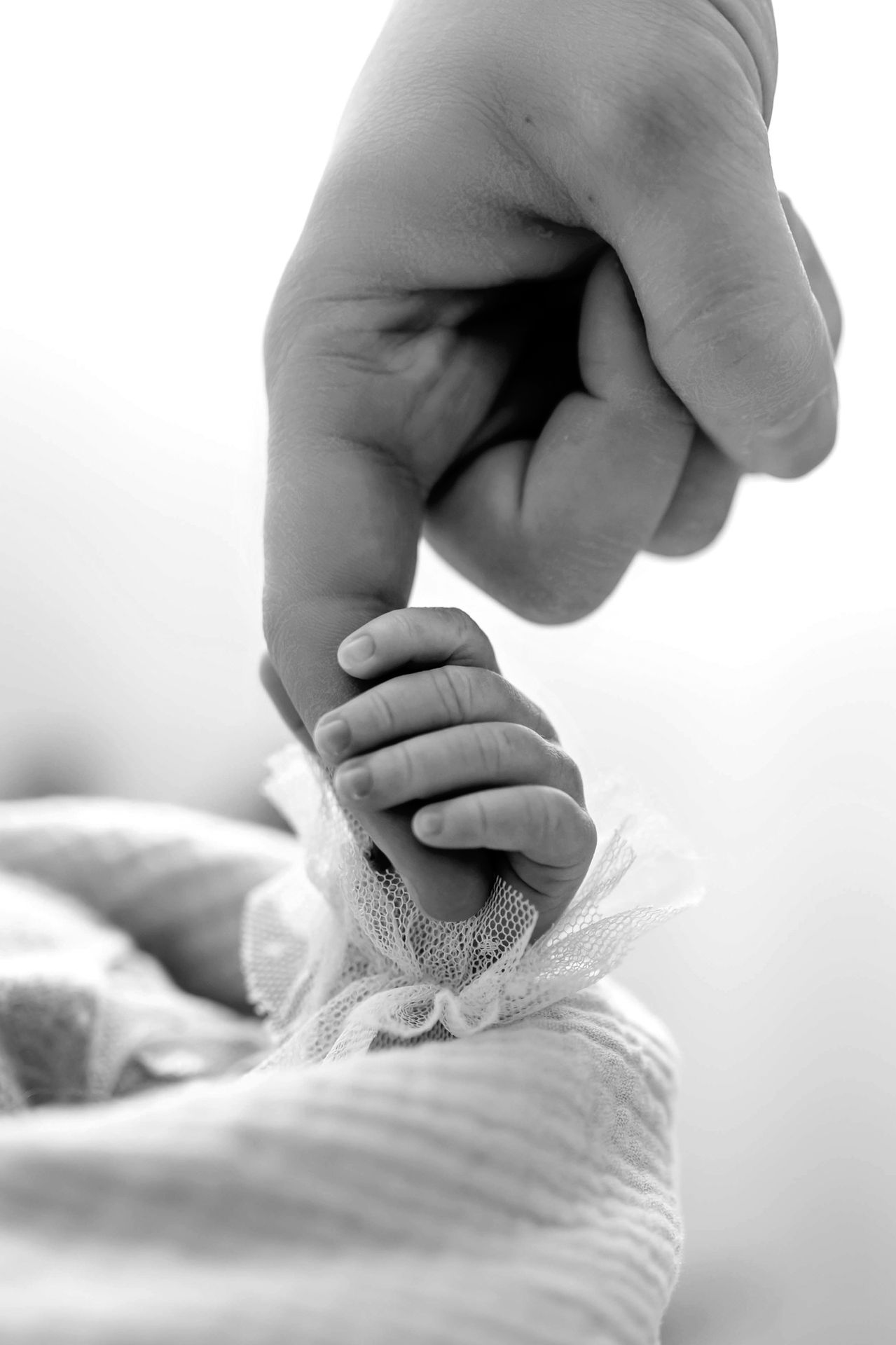 Baby's tiny hand gripping adult's finger