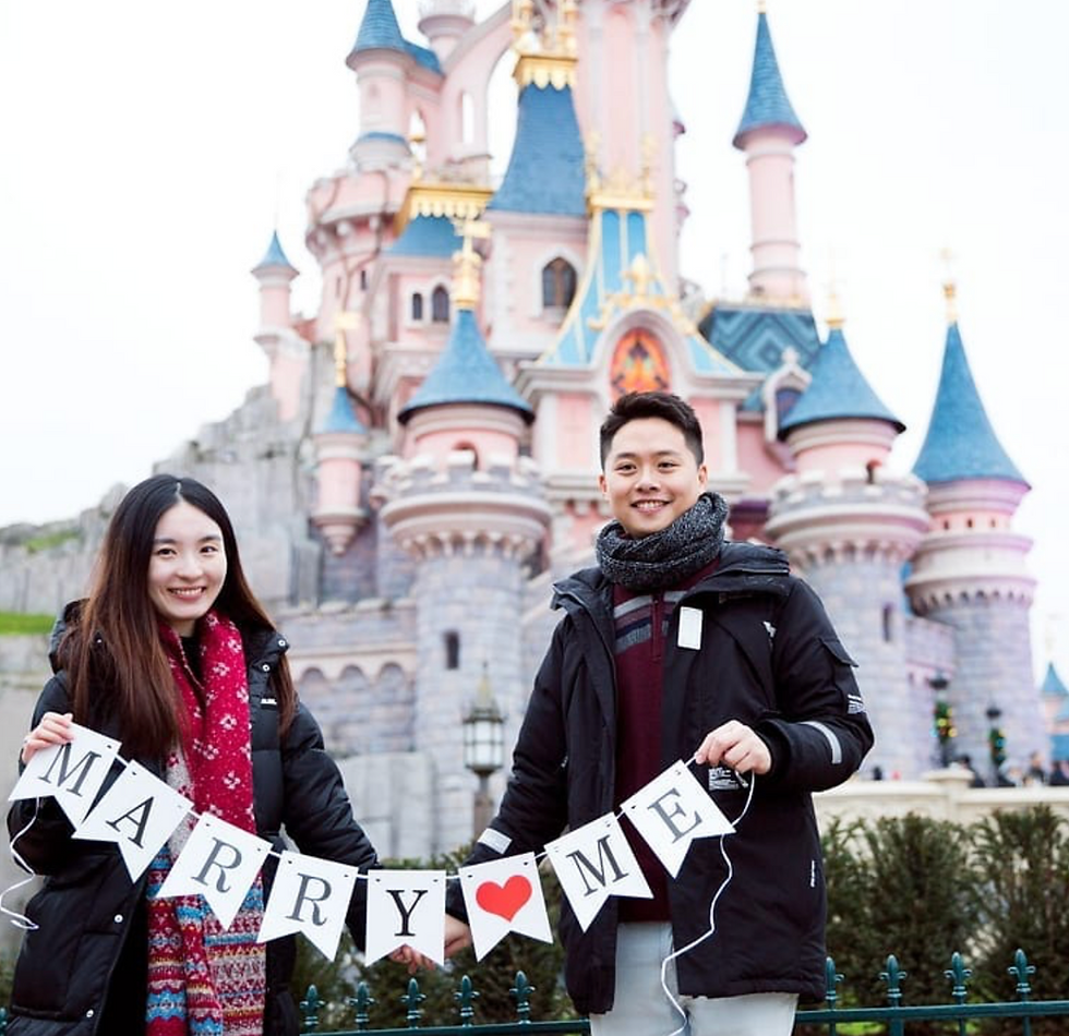 Disneyland Paris Marriage Proposal