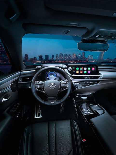 toyota-prado-lexus-es-21.jpeg
