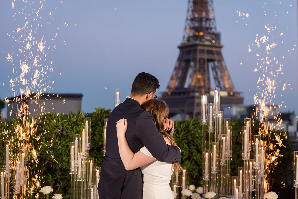 Paris Rooftop Terrace Proposal