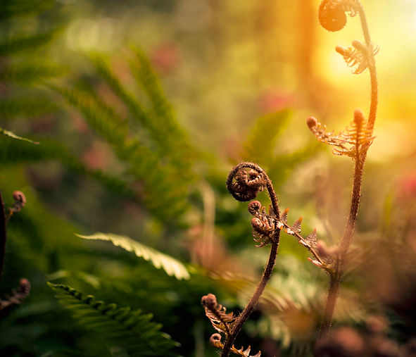 Fine art photograph by Cassandra capturing stillness, emotion, and quiet beauty through light and form.