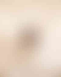 Collection of natural spring perfumes including Solar Blaze, Regal Alchemy and Floral Grace, Moss Whispers organic alchemic fragrances made in Australia