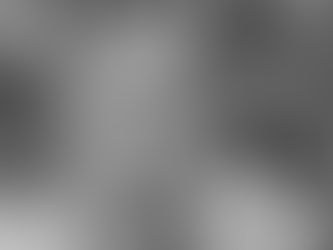 On The East German Elections