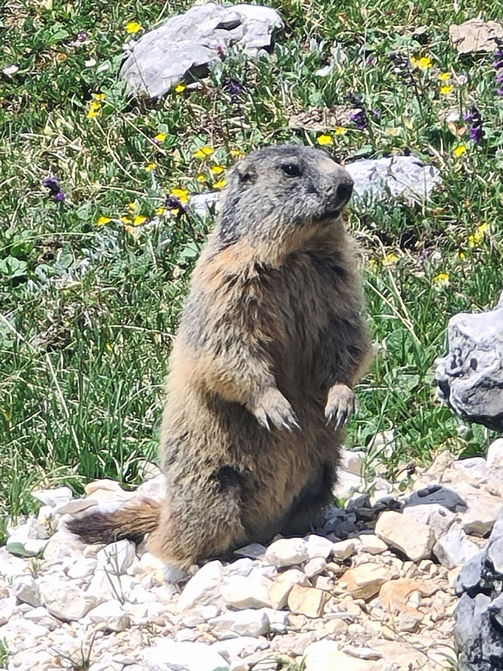 Picsart_25-06-18_17-41-40-190