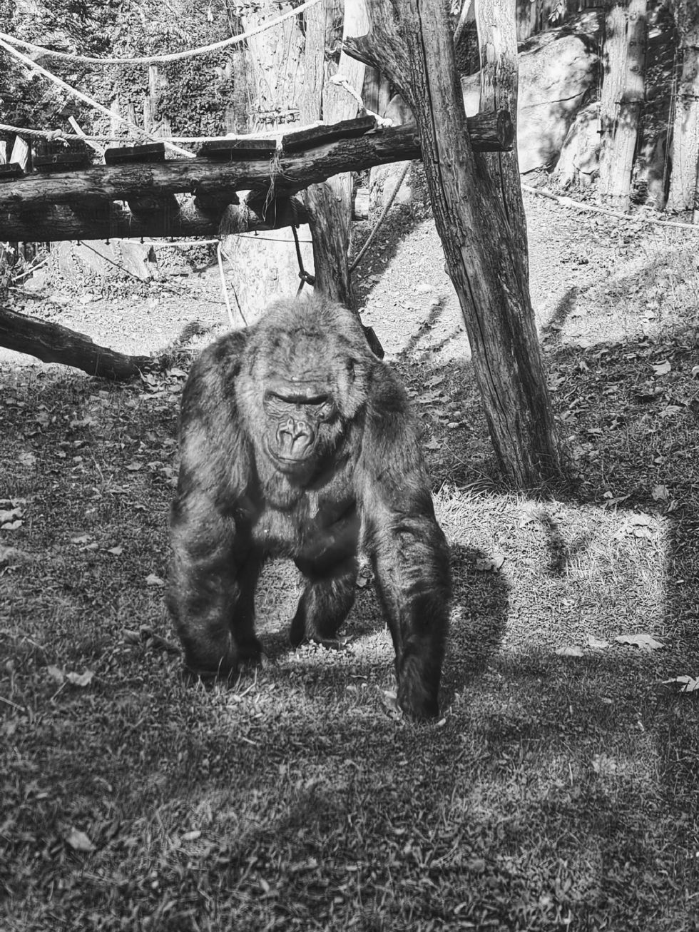 Picsart_23-11-03_12-33-49-703