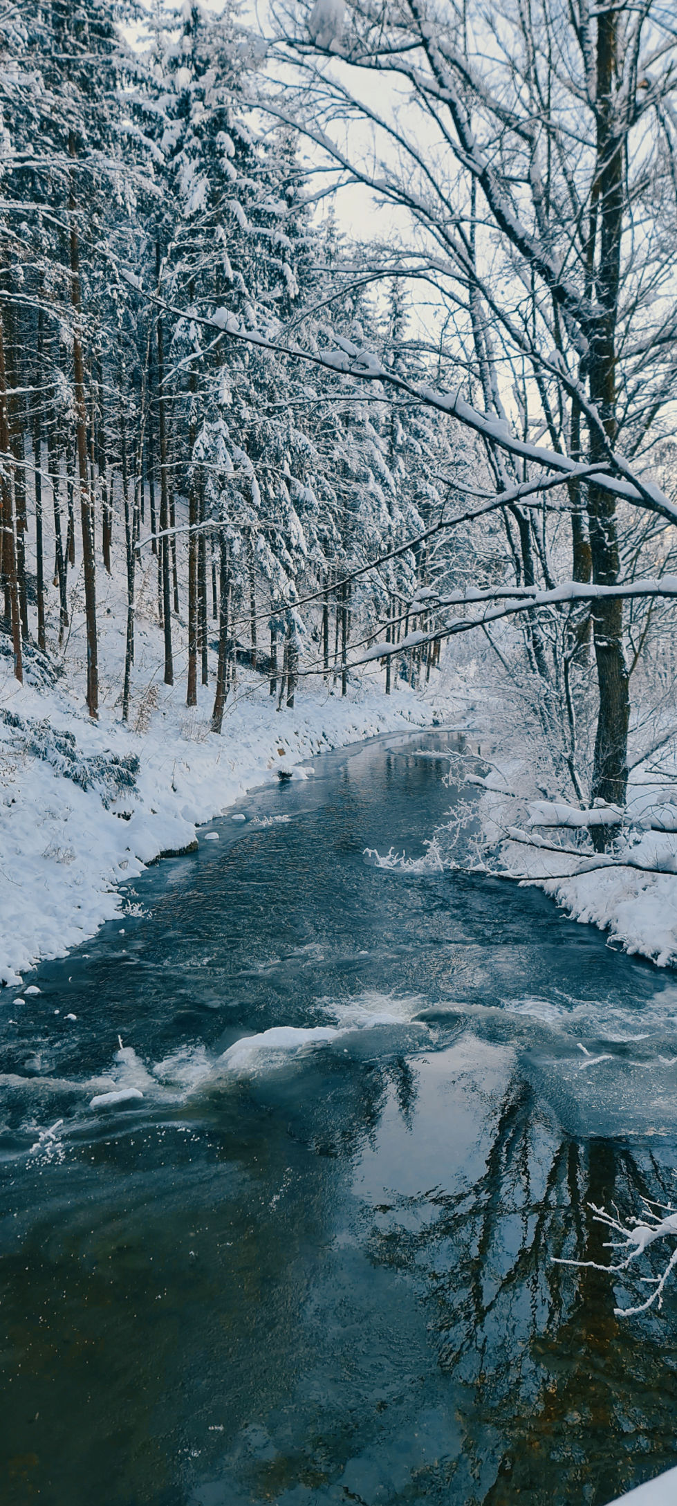 Picsart_23-12-08_07-18-33-118