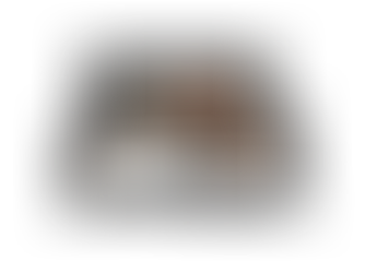 What Makes a Website Actually Convert in 2025?