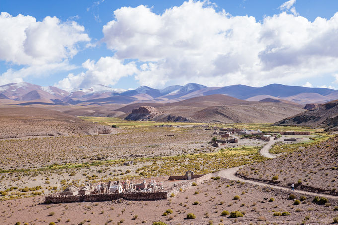 O nascimento de uma lhama