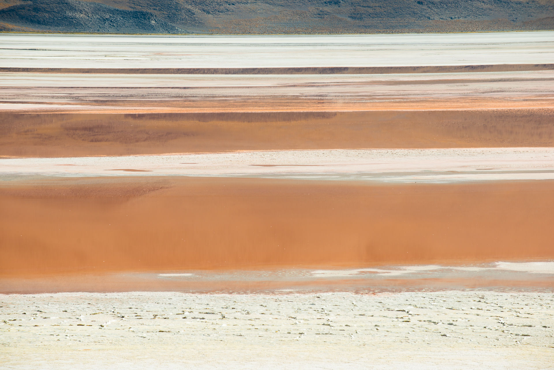 Laguna Colorada