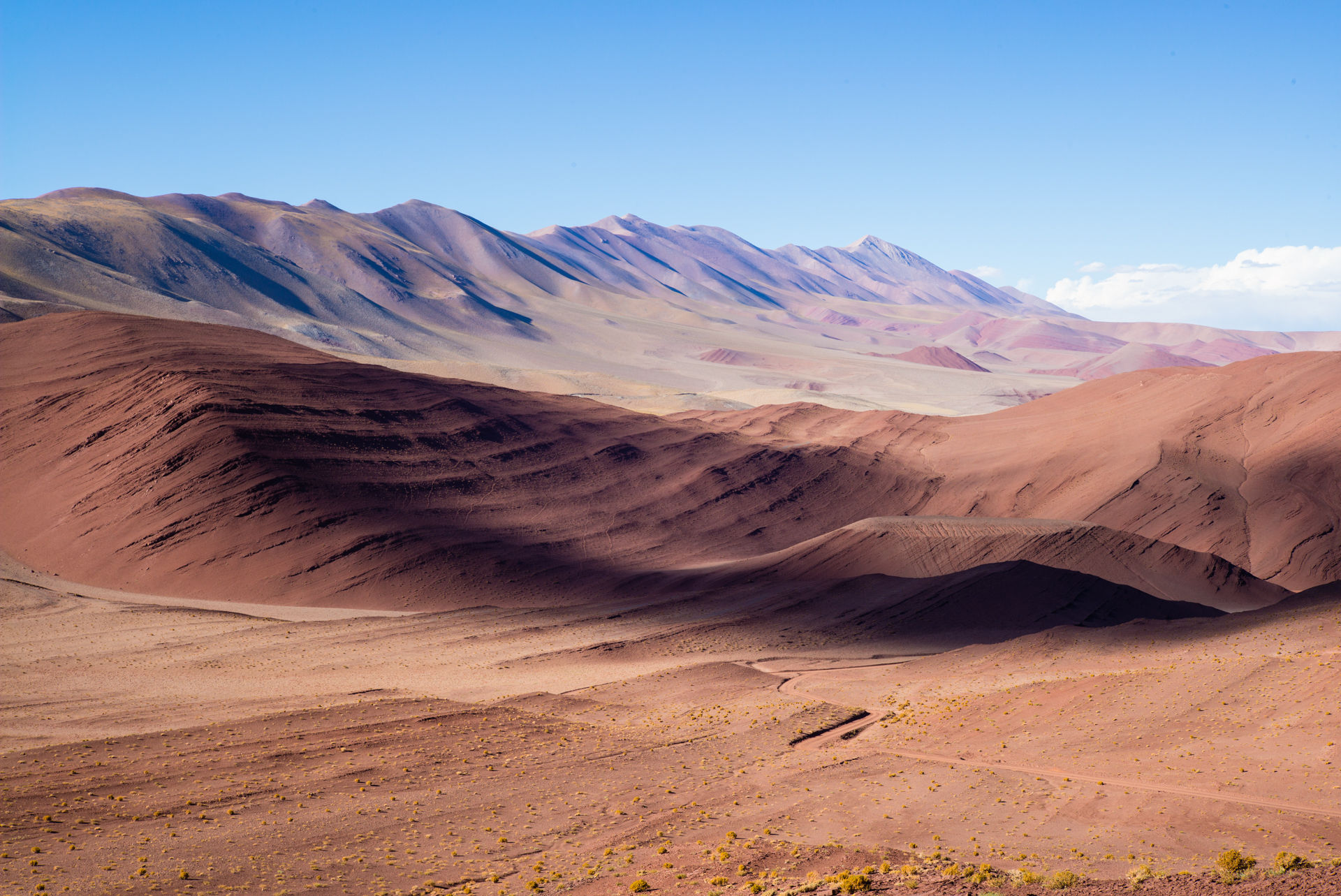 Tolar Grande