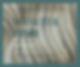 273408355_5537604522923074_8851143746602947290_n.jpg