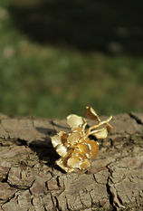 Handcrafted gold earrings with raw textured surface