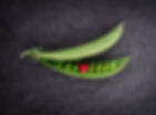Copy of the fresh green sweet peas with different one red seed on black stone background