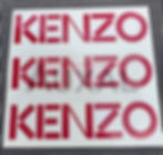 Sticker adhesif monogramme logo sigle Renault Twingo Kenzo 8200421522 8200421520