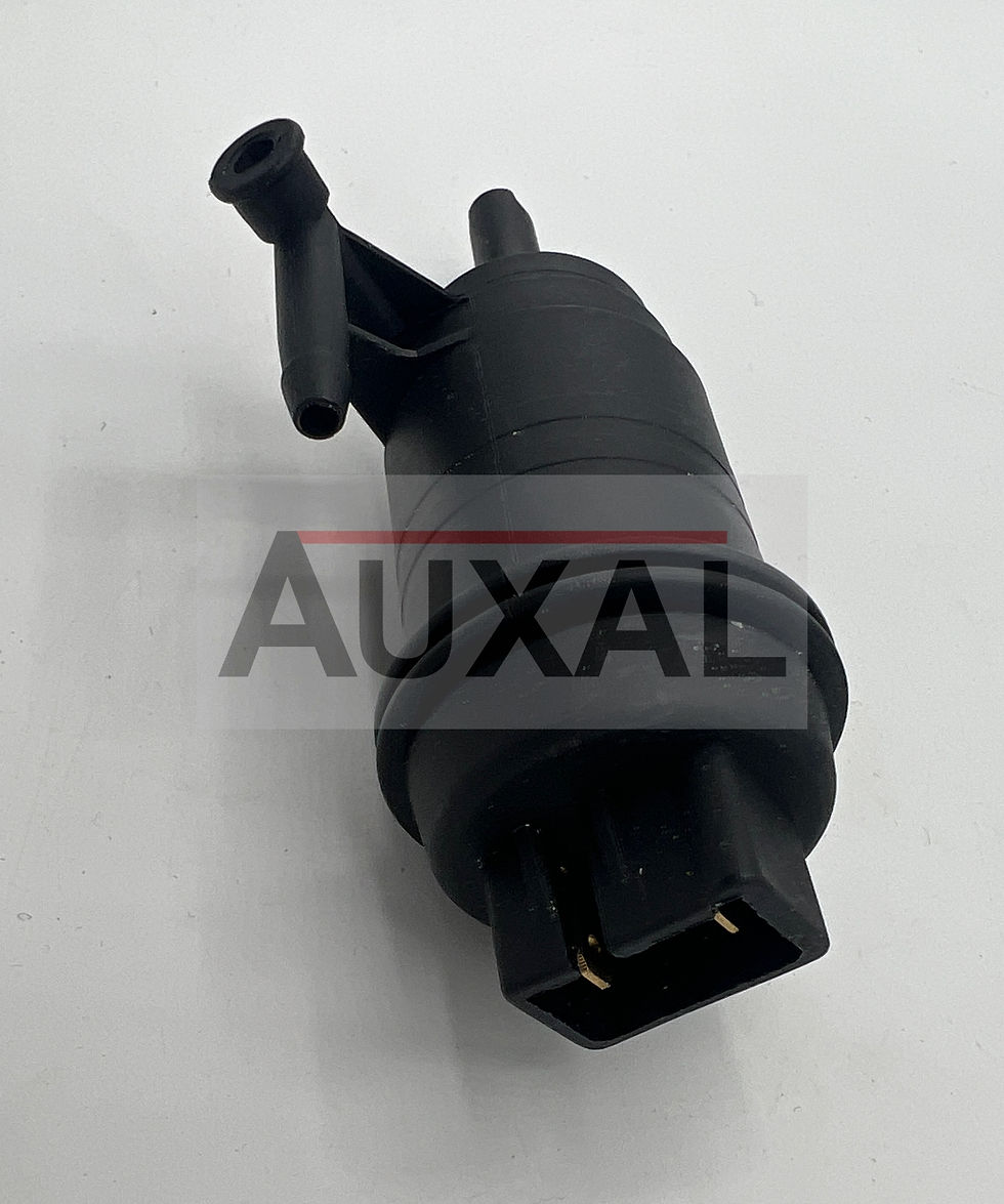 Miniature : Pompe essence fuel pump Renault 5 R5 Super GT Turbo 6001007730