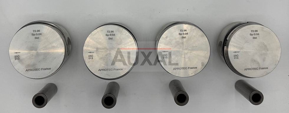 Miniature : Piston pistons Renault 5 R5 LS TS GTL AUTOMATIQUE AUTOMATIC 1289 73mm