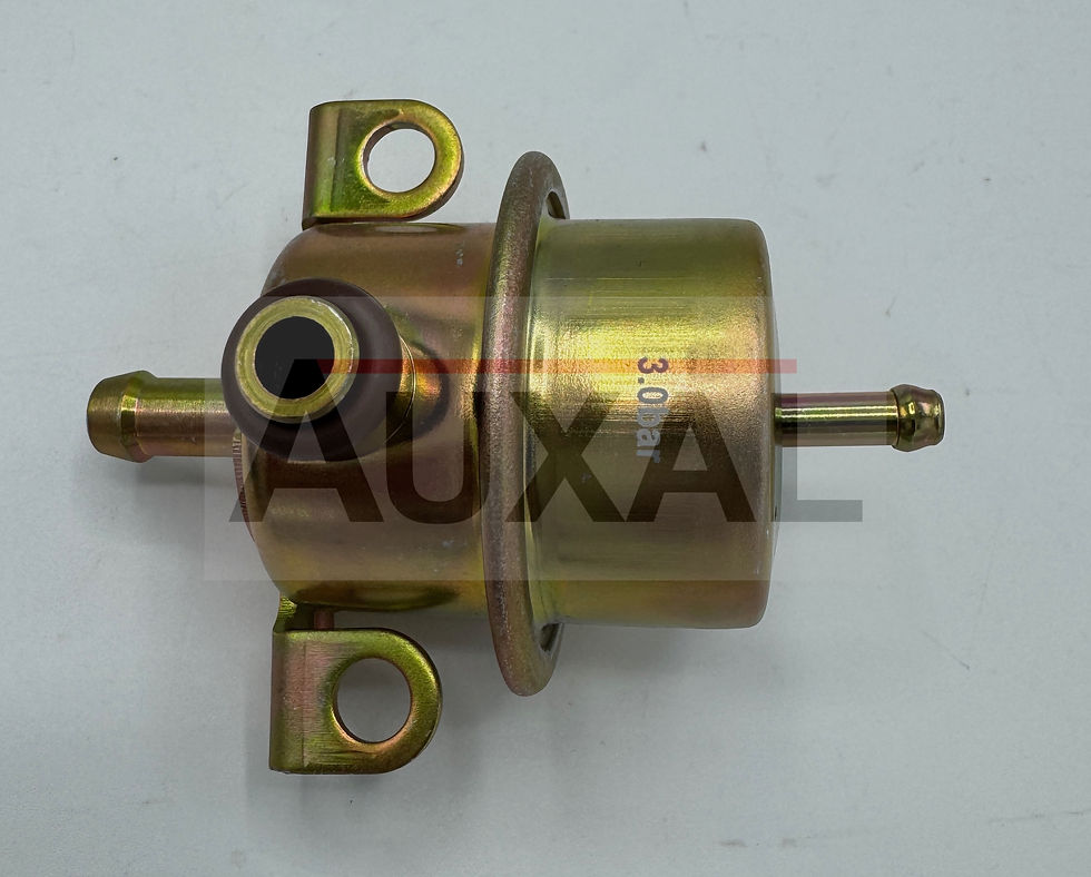 Miniature : Regulateur pression essence 205 GTI 156399 1563 99 1563.99 fuel pressure