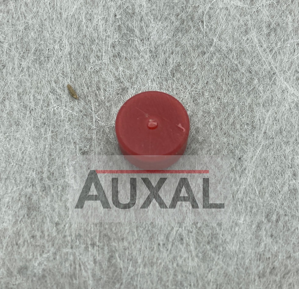 Bouchon obturateur debitmetre 205 309 GTI cover cap