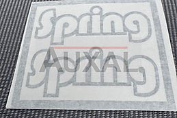 Sticker adhesif monogramme logo sigle Renault Twingo Spring 7700847287