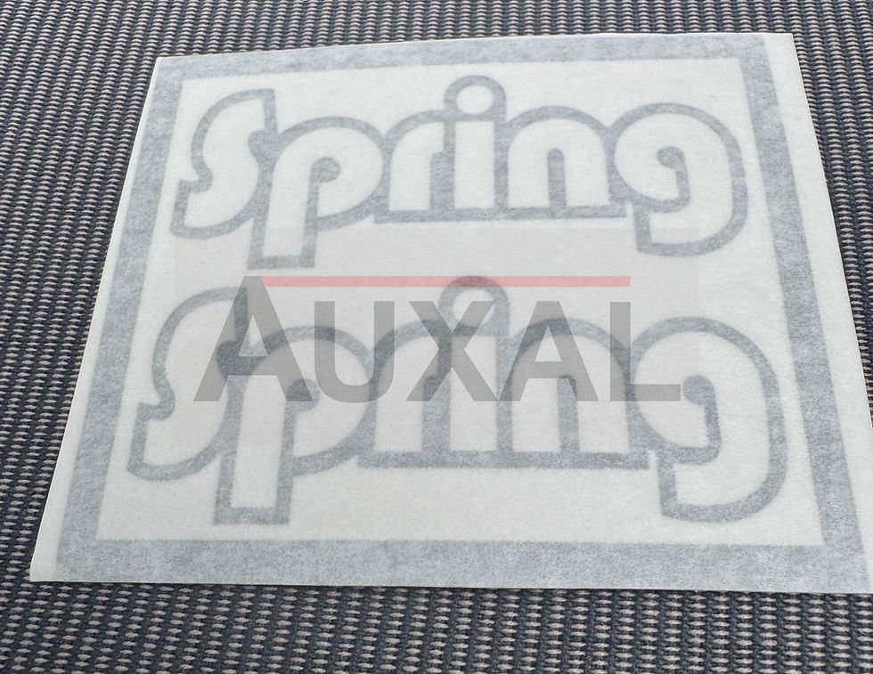 Sticker adhesif monogramme logo sigle Renault Twingo Spring 7700847287