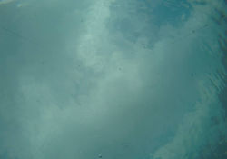 Subdivision I (Kvarnerski Zaljev)