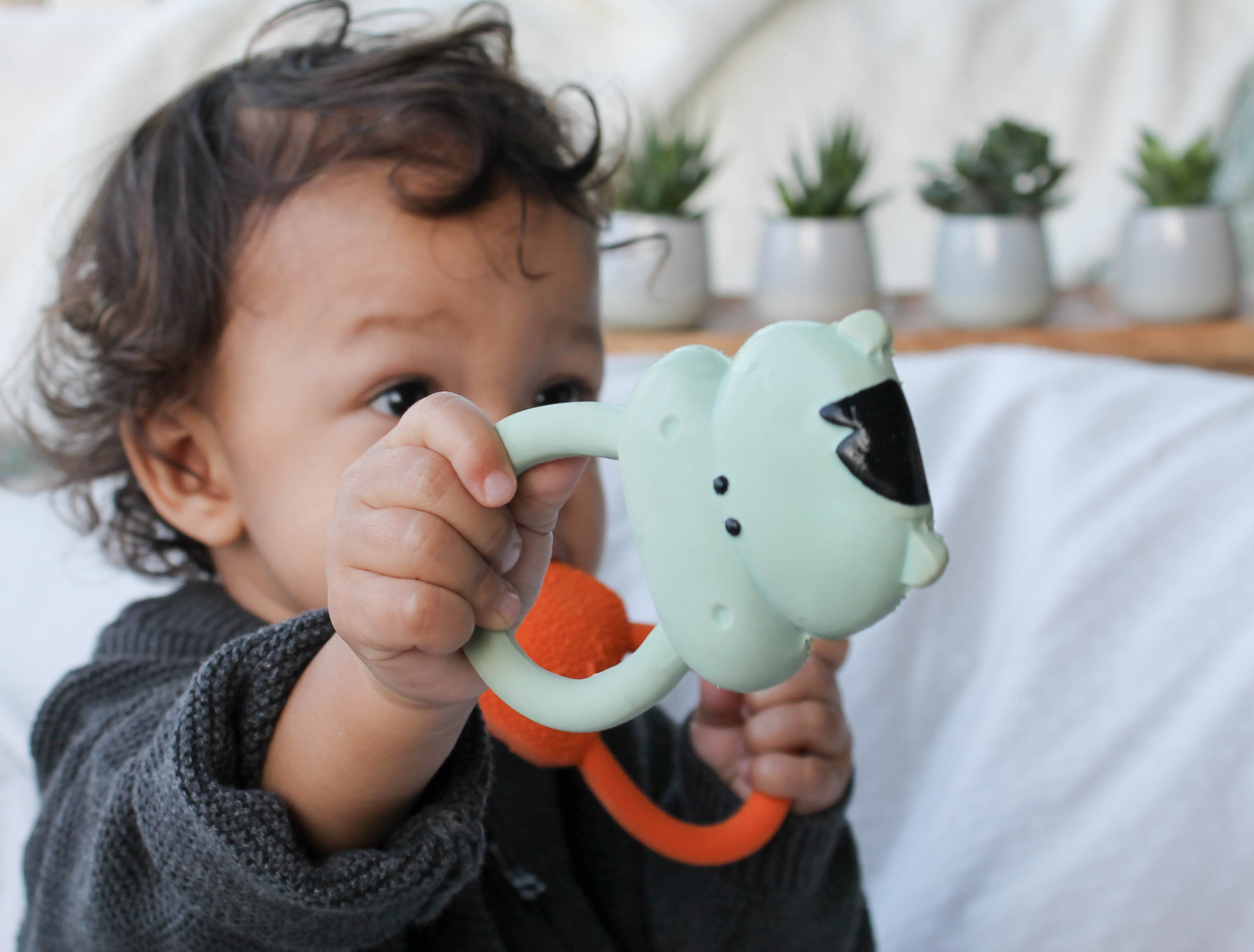 Lanco Anillo De Dentición Hoja De Palma