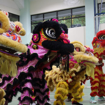 Lion & Dragon Dance