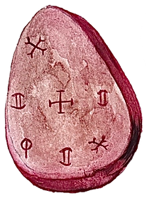 seed_with_symbols.png