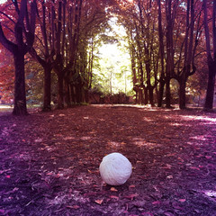 effettopolvere#2
