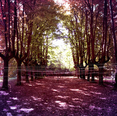 effettopolvere#2