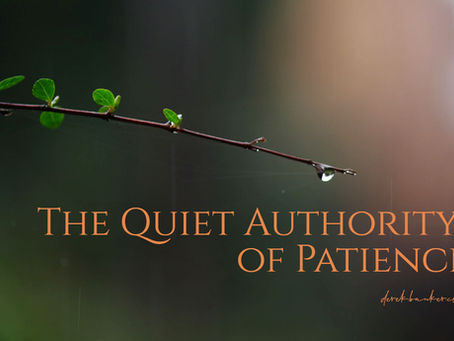 Professional Challenges and the Quiet Authority of Patience