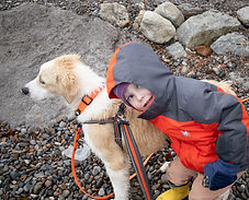 A young boy wearing a red jacket hugging a beige and white dog