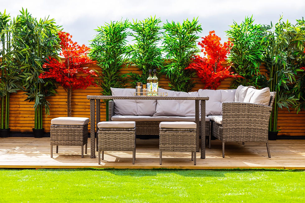 PHOTO-2021-09-06-08-35-15 3.jpg