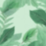Leaves with pastel green colour.jpg