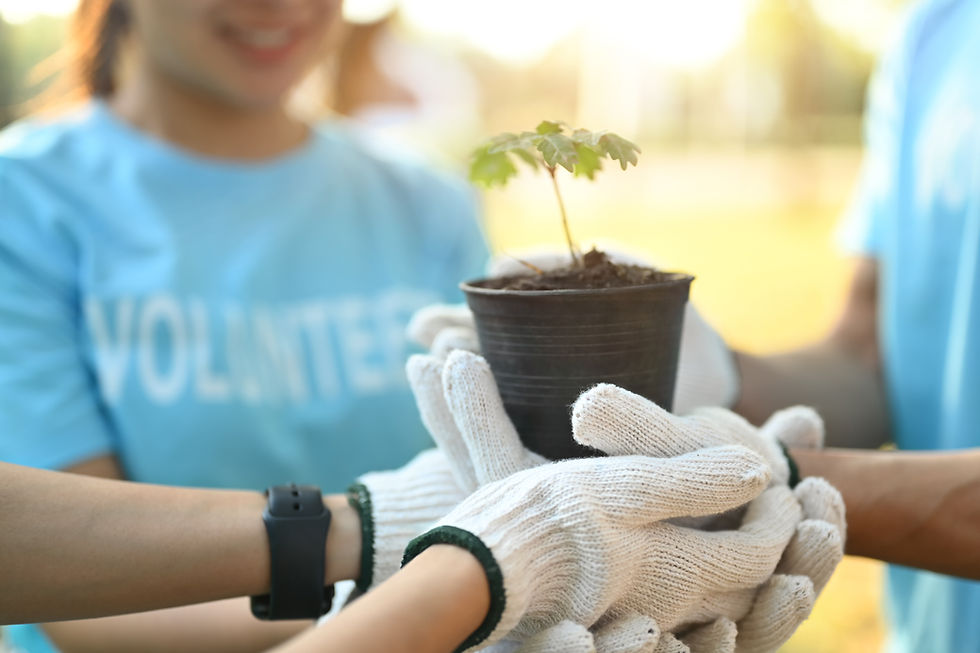 Voluntários de azul e luvas brancas seguram uma muda em vaso preto;  praticando o bem para a natureza