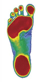 optimal foot