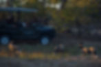 _PMJ8558.jpg