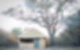 DSC_0091 copy.jpg